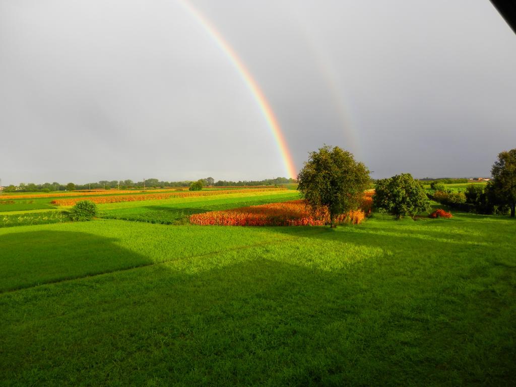 Agriturismo Cjargnei Povoletto Buitenkant foto